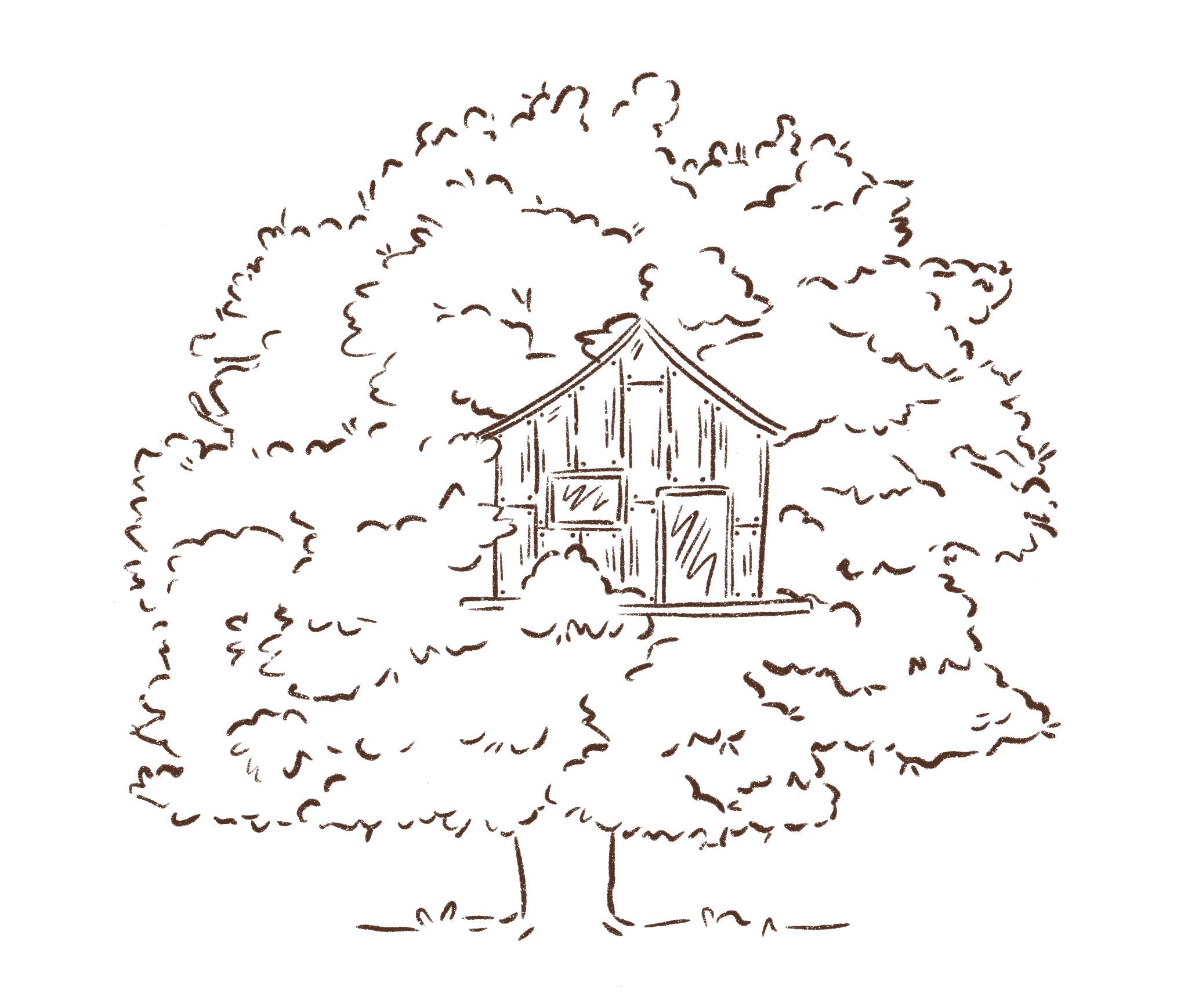 cabane dans les arbres